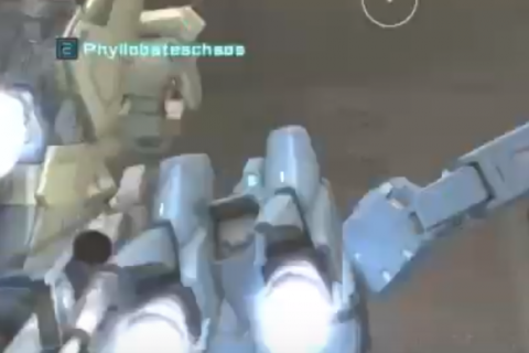 phyllobateschaos 故意FF